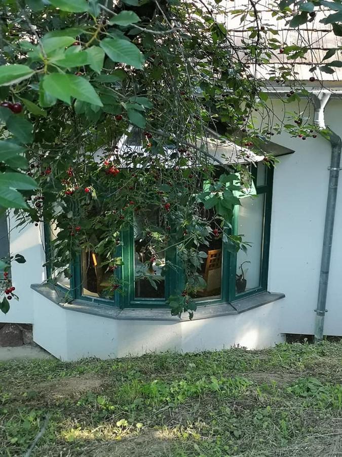 Kotcse Nyugalomsziget 빌라 외부 사진